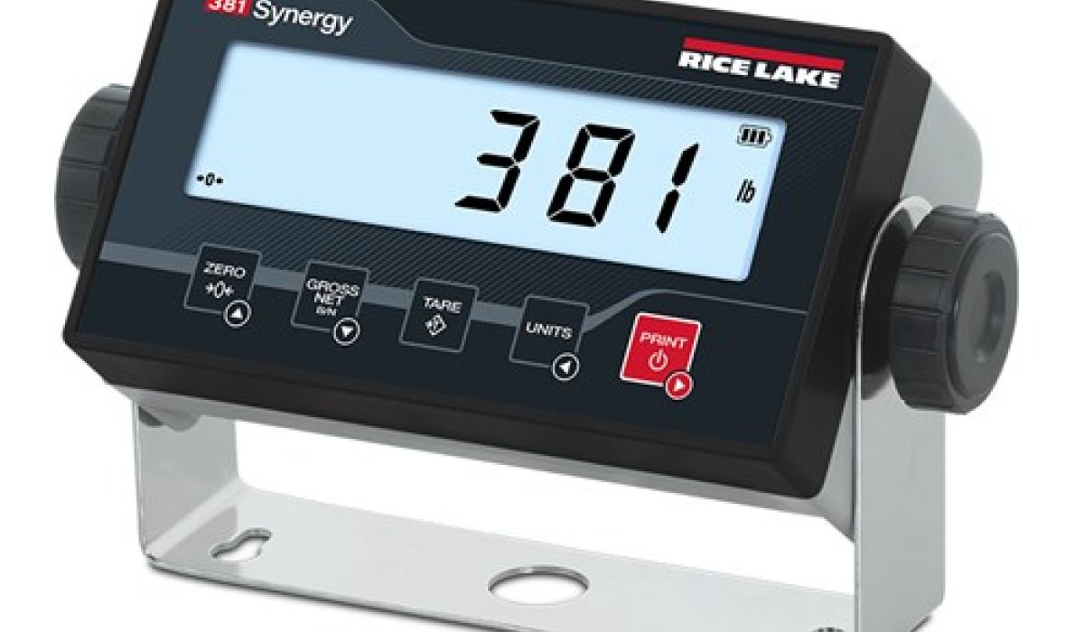rpap 1 ad7d4b4e 381 Synergy Series Digital Weight Indicator